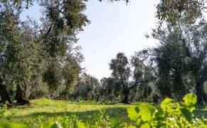 ETZ_7881