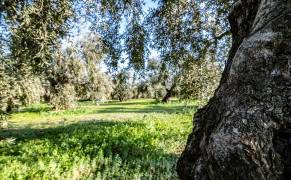 ETZ_7989